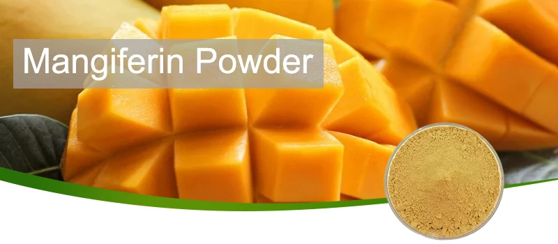 mangiferin powder-1 mangiferin powder-1