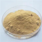 Silimariini pulber