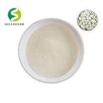 Puhas valge ubade ekstrakt