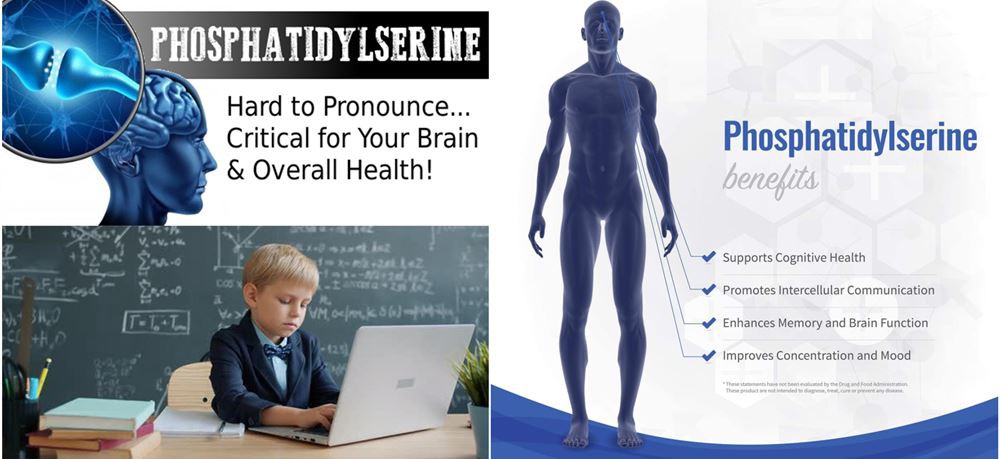 phosphatidylserine raw materials 5