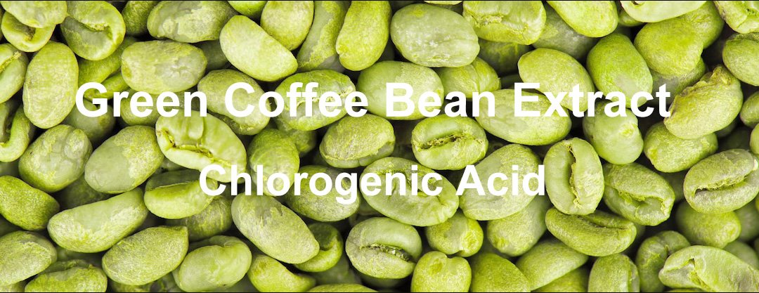 Chlorogenic acid