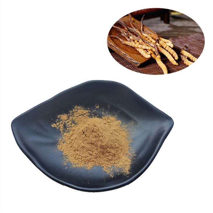 Cordyceps Sinensise ekstrakt