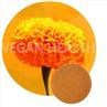 Marigold Extract Lutein