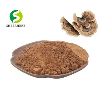 Kalkuni saba seene ekstrakt