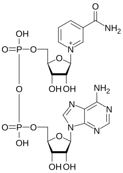 Nikotiinamiidadeniini dinukleotiid CAS 53-84-9